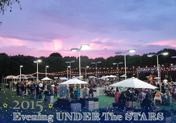 Evening-Under-The-Star-2015